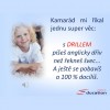 DRILL - program na testování slovní zásoby